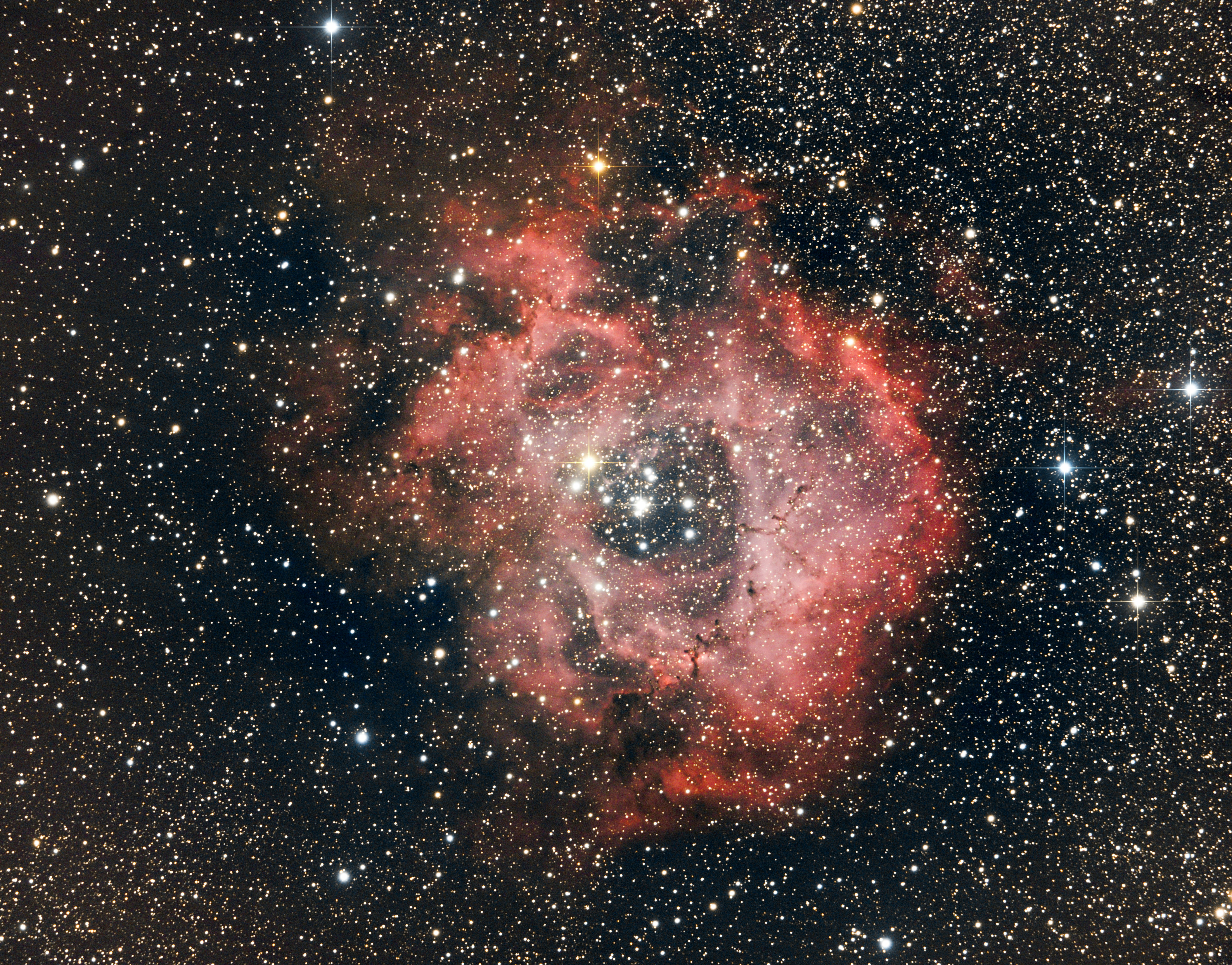 brown and black galaxy with stars